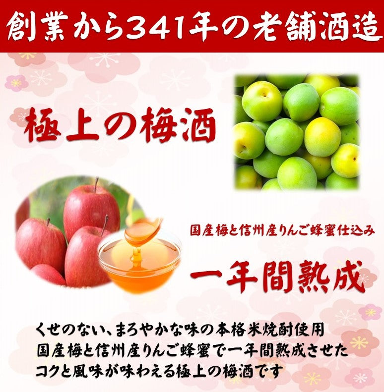 お名入れ 極上の梅酒720ml